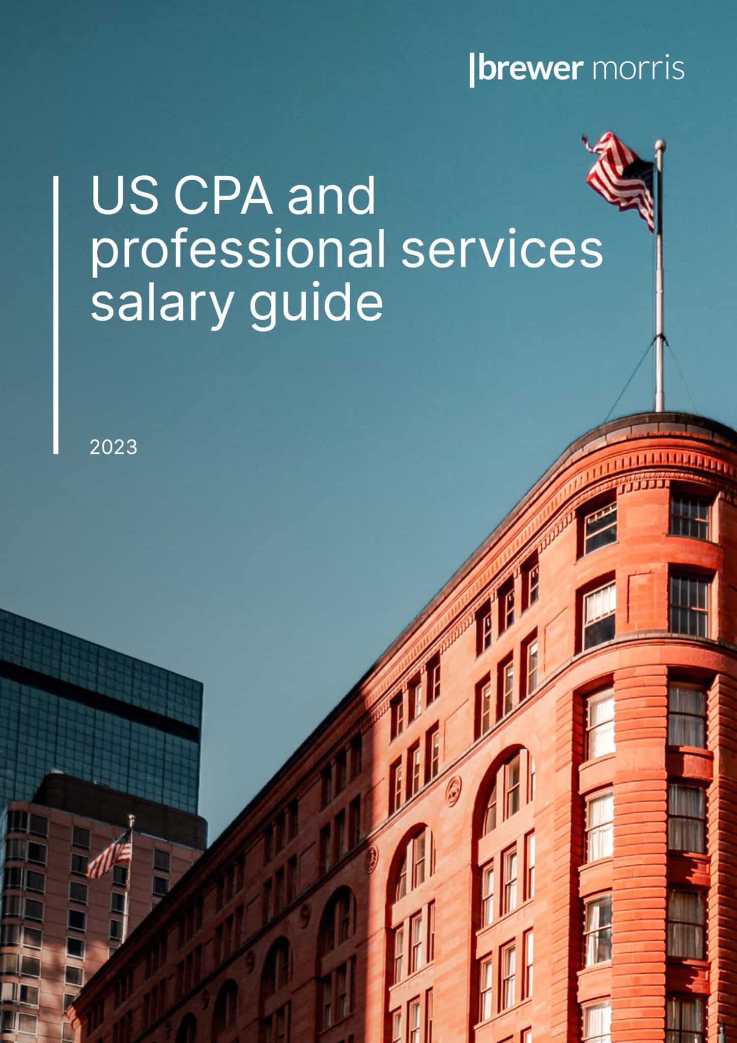 us-cpa-and-professional-services-salary-guide-2023-brewer-morris